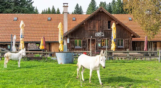 Buvette du Chalet Neuf_Riaz_slider_image_3