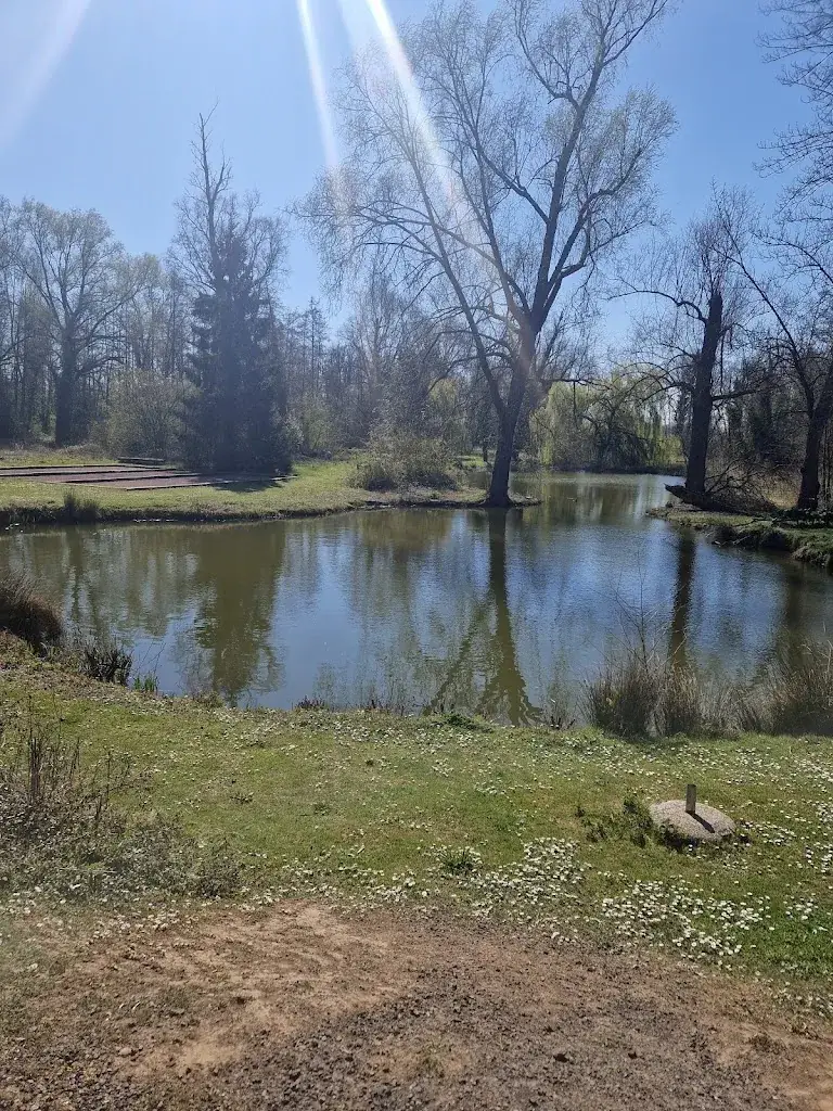 Véronique De Deken_Le domaine des cygnes_Wingles_review