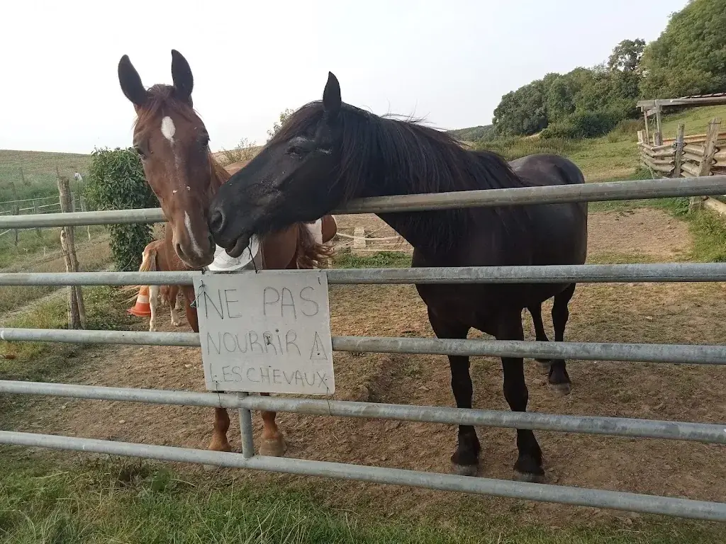 Restaurant scolaire_Montataire_slider_image_2