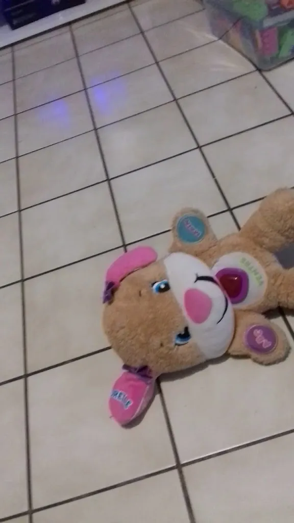 Le Trotteur restaurant in Nesle