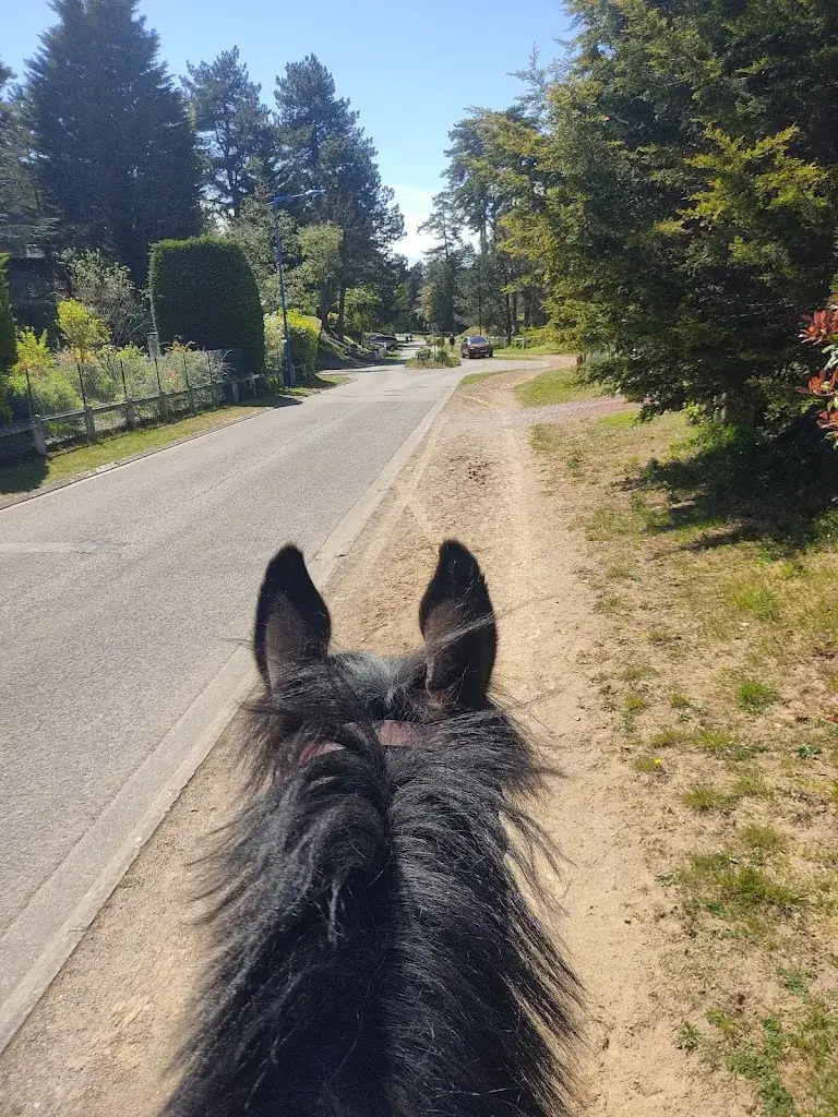 Golf d'Hardelot_Neufchâtel-Hardelot_slider_image_3