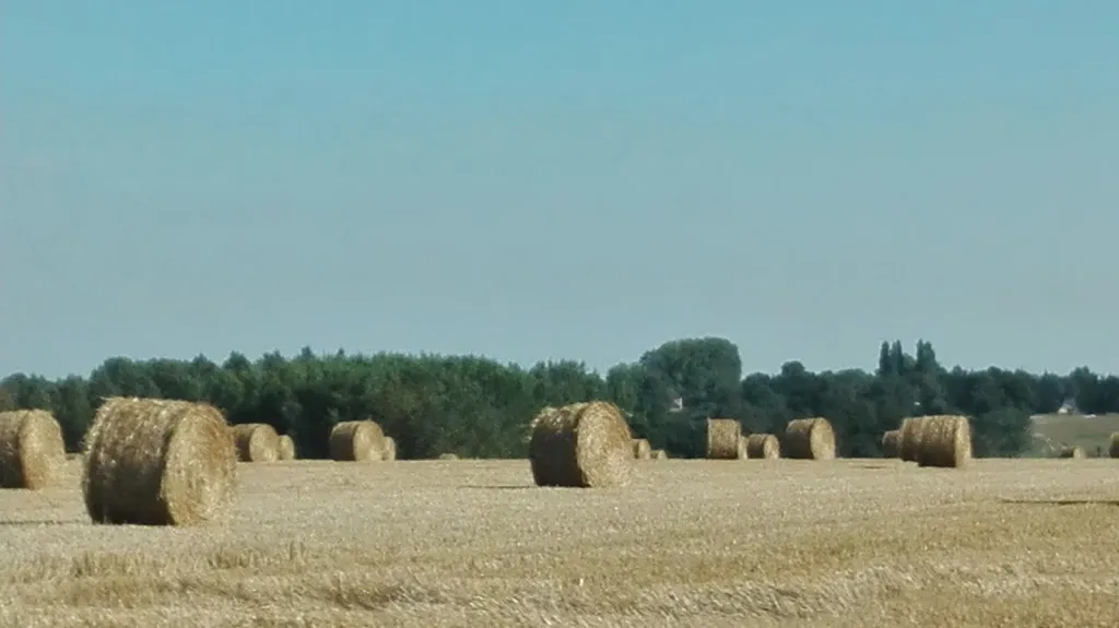 Chez michel point relais _Oisemont_slider_image_3