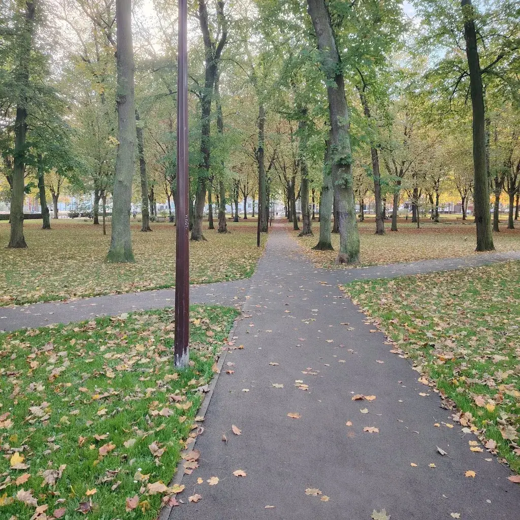 Les Champs Élysées_Saint-Quentin_slider_image_2
