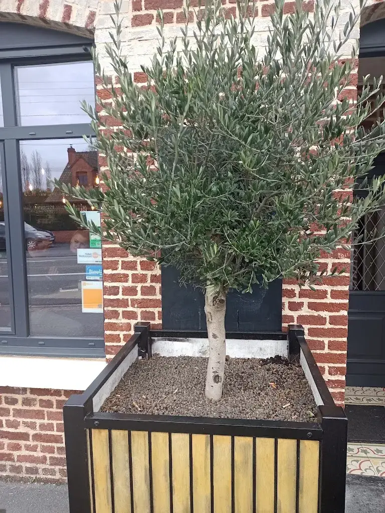 Ric Lo_Chez Gaby_Onnaing_review