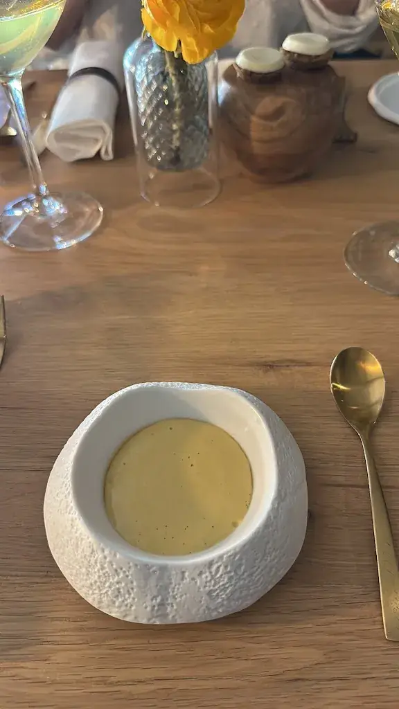 Nico D_Signature_Saultain_review