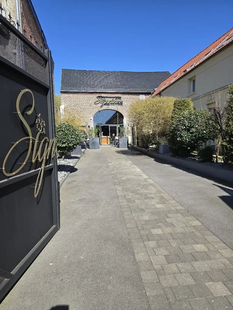 Cathy Hz44_Signature_Saultain_review