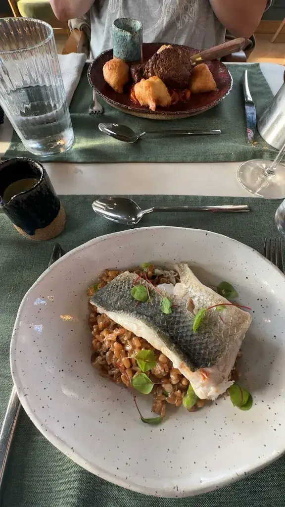 salome_Les Roses Blanches_Cambrésis_review