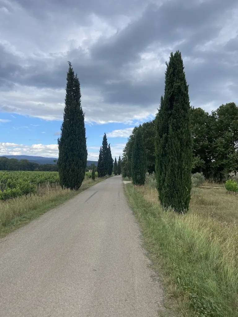 Thomas Boekhoff_Auberge de la camarette_Pernes-les-Fontaines_review