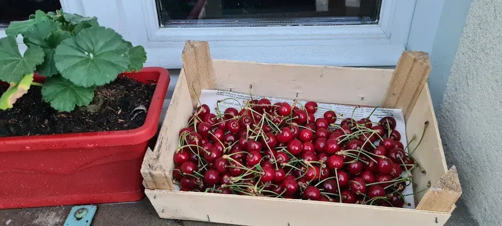 La table de Saint Bonnet_Saint-Bonnet-de-Rochefort_slider_image_2