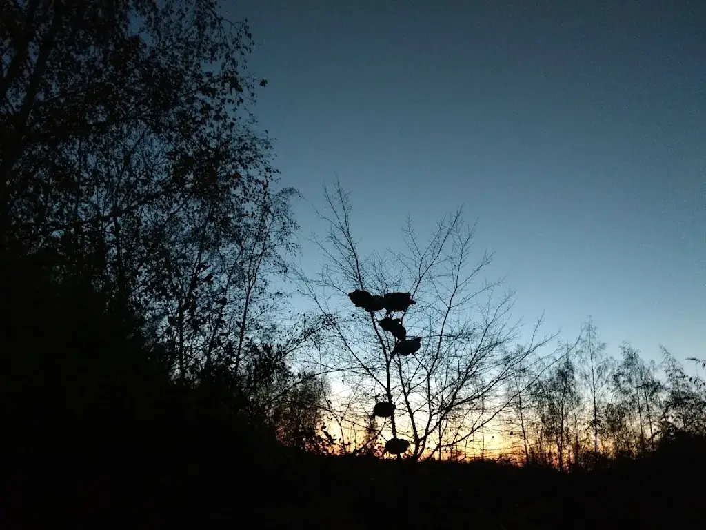 Juan Rodriguez_Les Chevrettes du Terril_Rieulay_review