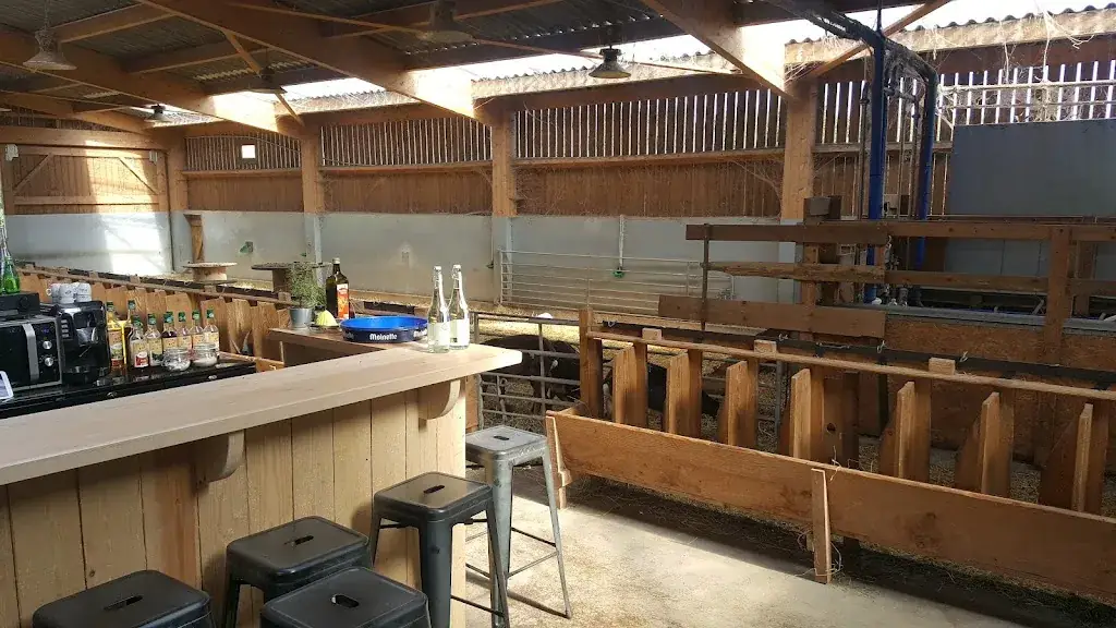 Marcin Jaworski_Les Chevrettes du Terril_Rieulay_review