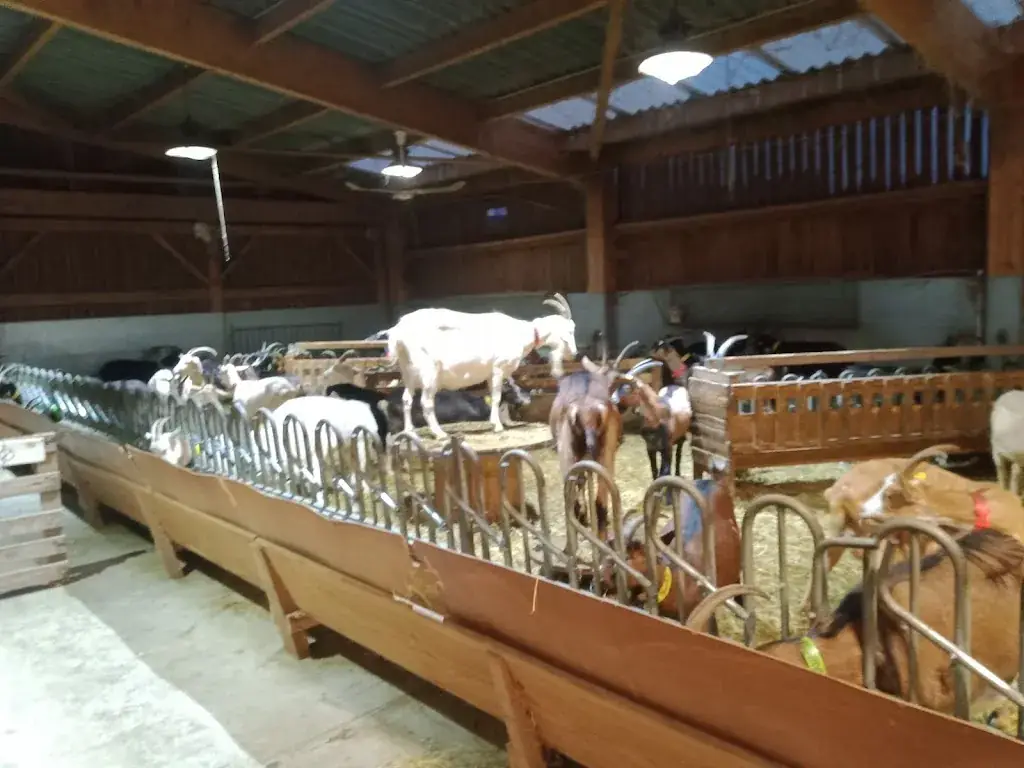 Les Chevrettes du Terril Restaurant in Rieulay