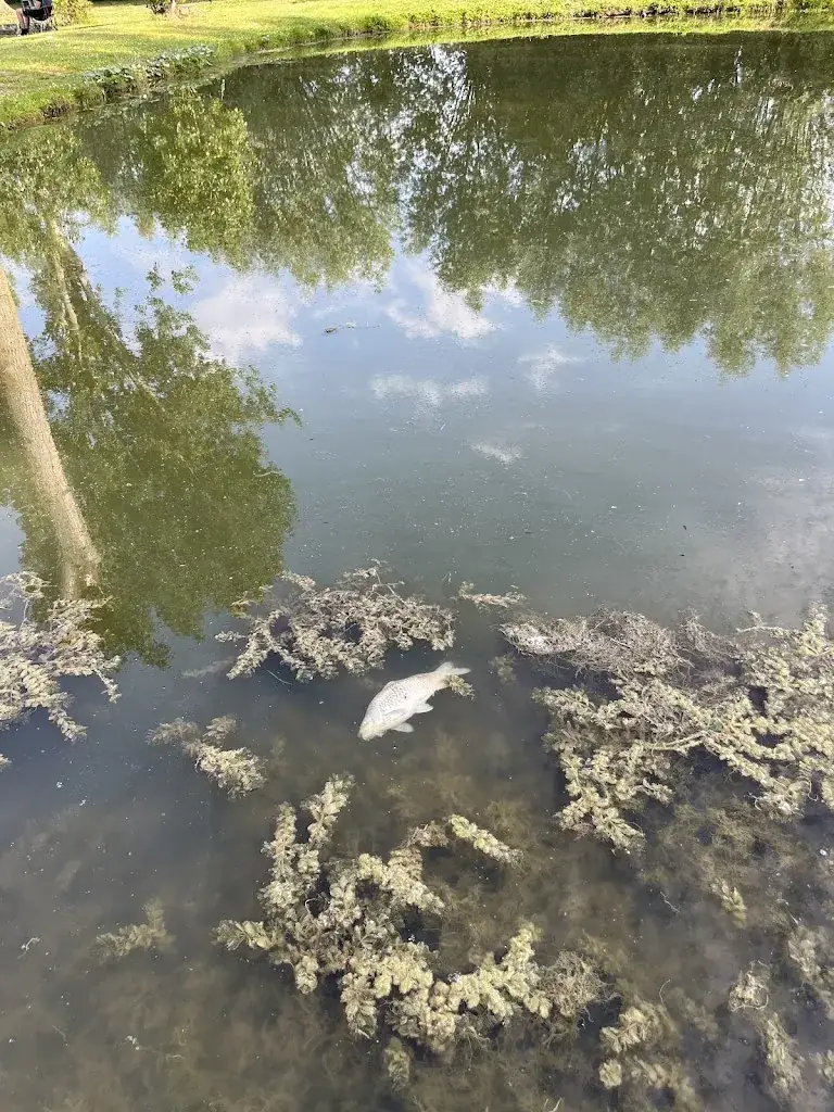 Sébastien BRIFFAUT_Sarl Parc De La Biette_Robecq_review