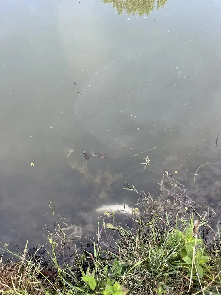 Sarl Parc De La Biette_Robecq_slider_image_3