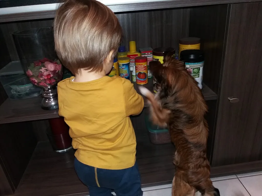 Le Nemrod_Rouvroy_slider_image_1