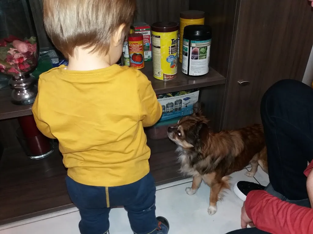 Le Nemrod_Rouvroy_slider_image_2