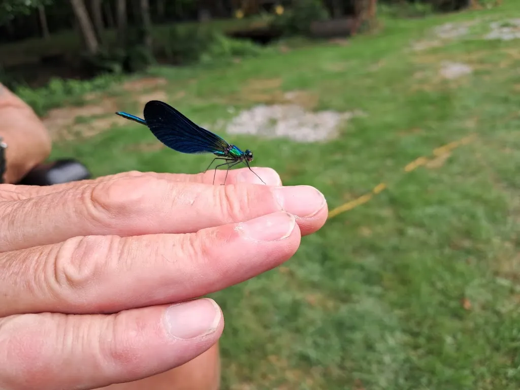 Maggie Seyer_Le Moulin des Forges_Saint-Omer-en-Chaussée_review