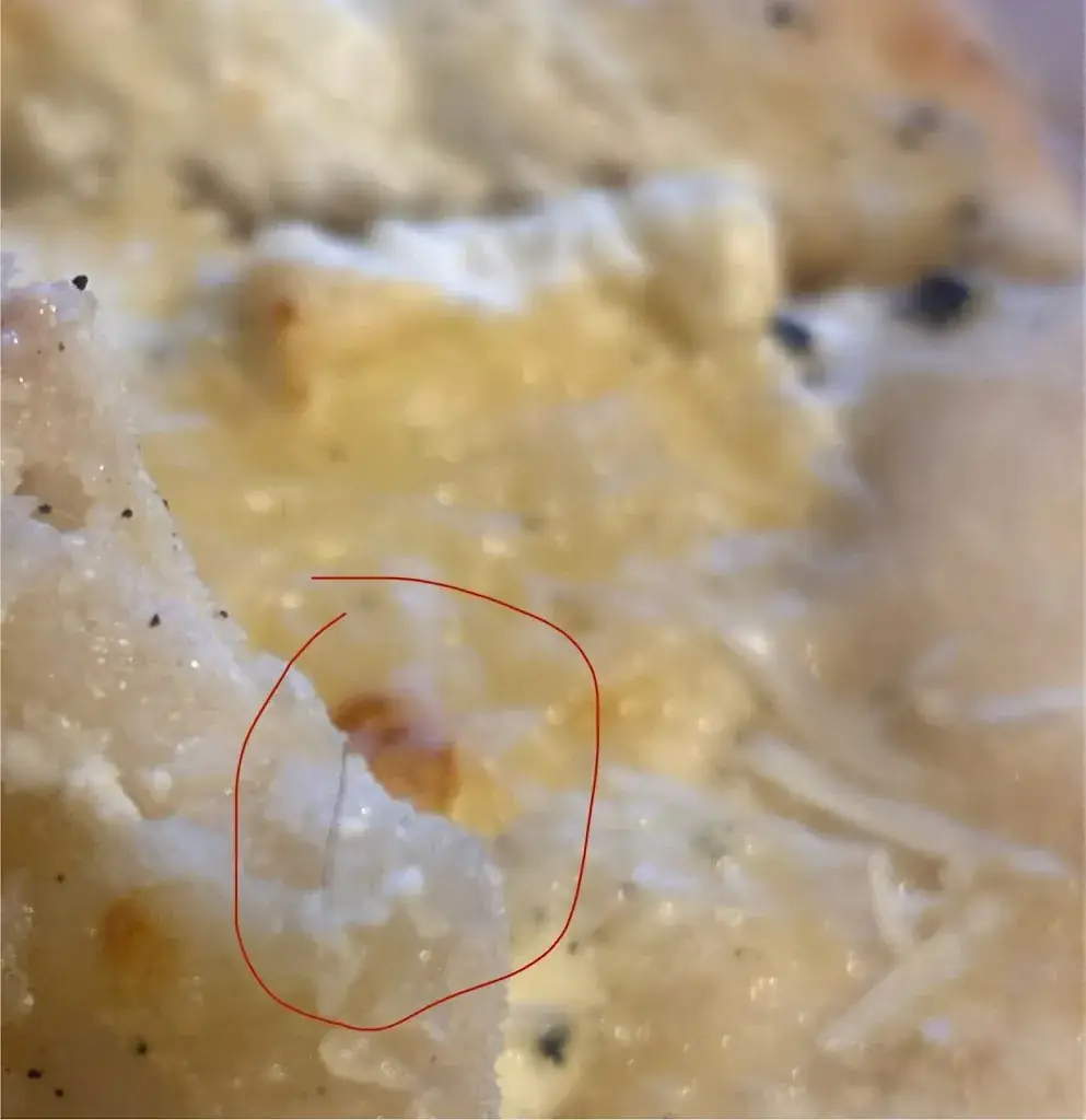 Sébastien Guillemot_The Preatl's_Saint-Just-en-Chaussée_review