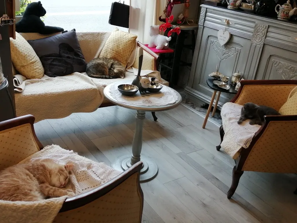 fatma riane_Esta-minet _Saint-Venant_review