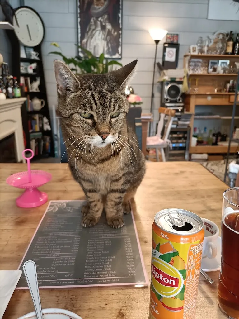 Nadege Le Breton_Esta-minet _Saint-Venant_review