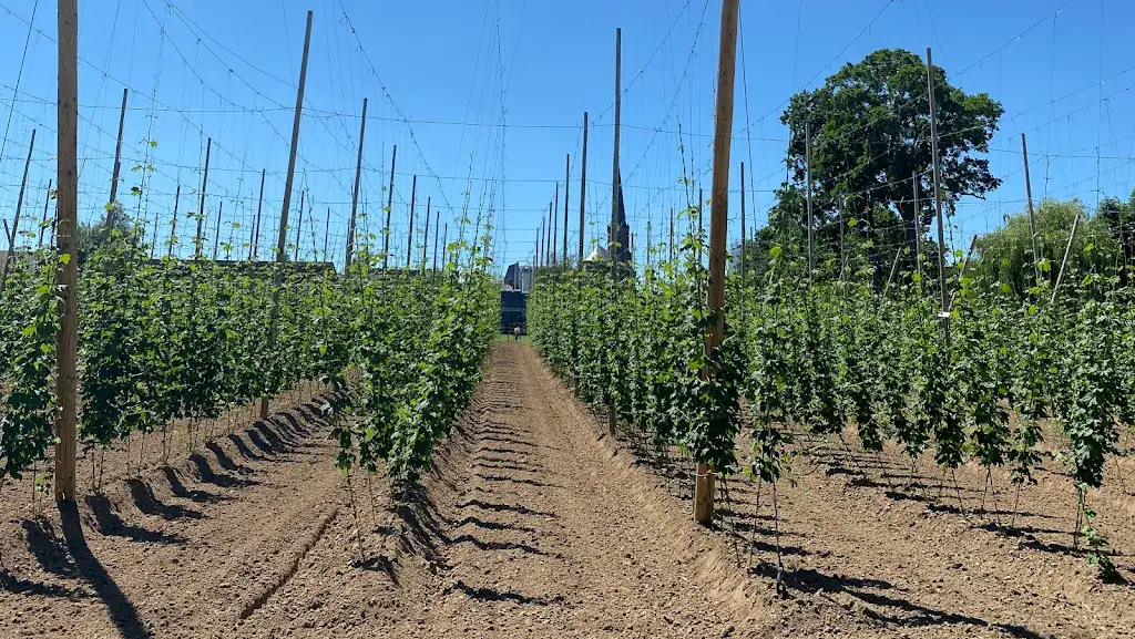 Brasserie de Saint-Sylvestre_Saint-Sylvestre-Cappel_slider_image_2