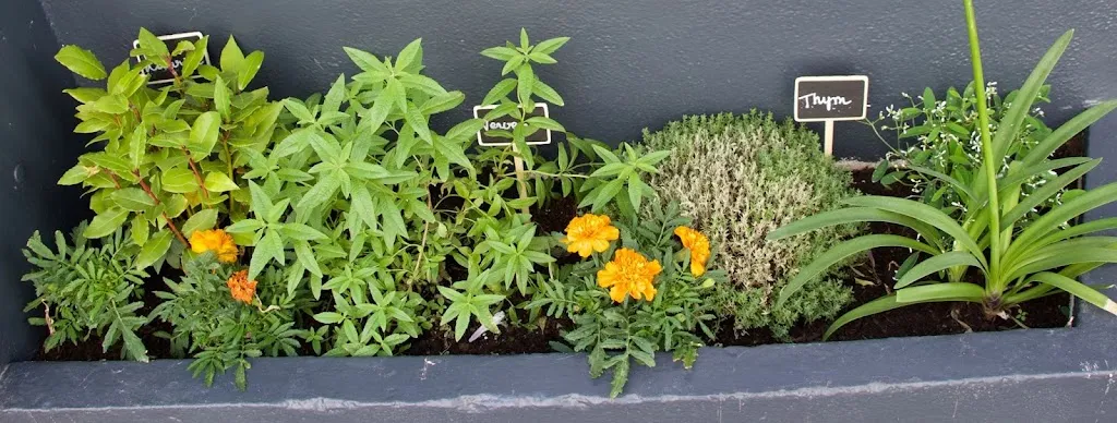 Mouffu_Clermont-Ferrand_slider_image_3