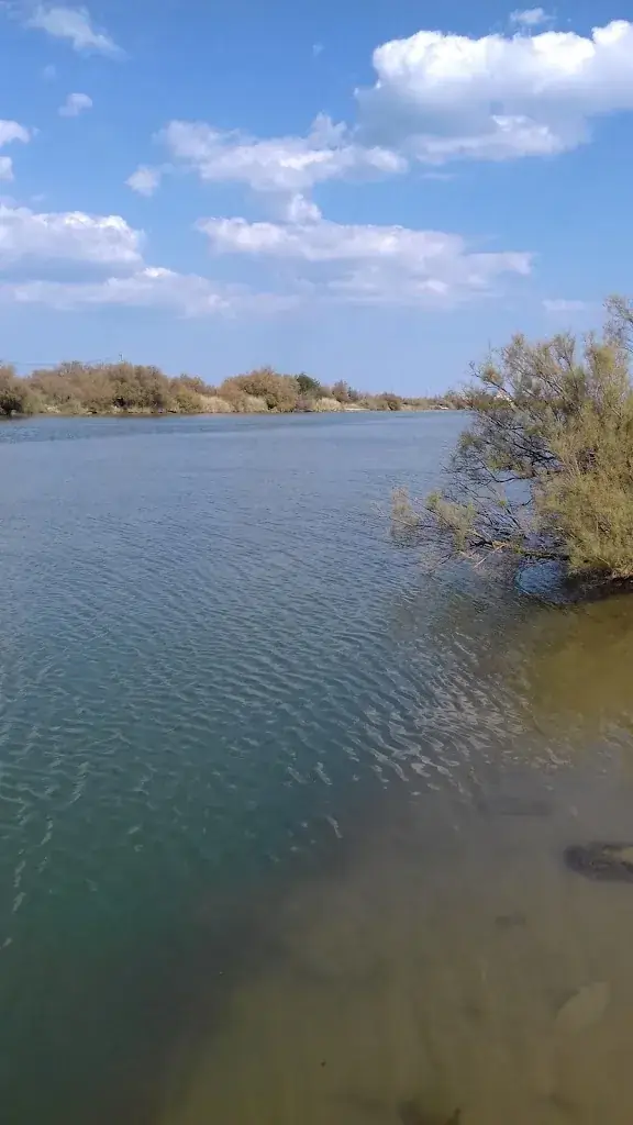 Royal Pizza_Vailly-sur-Aisne_slider_image_1