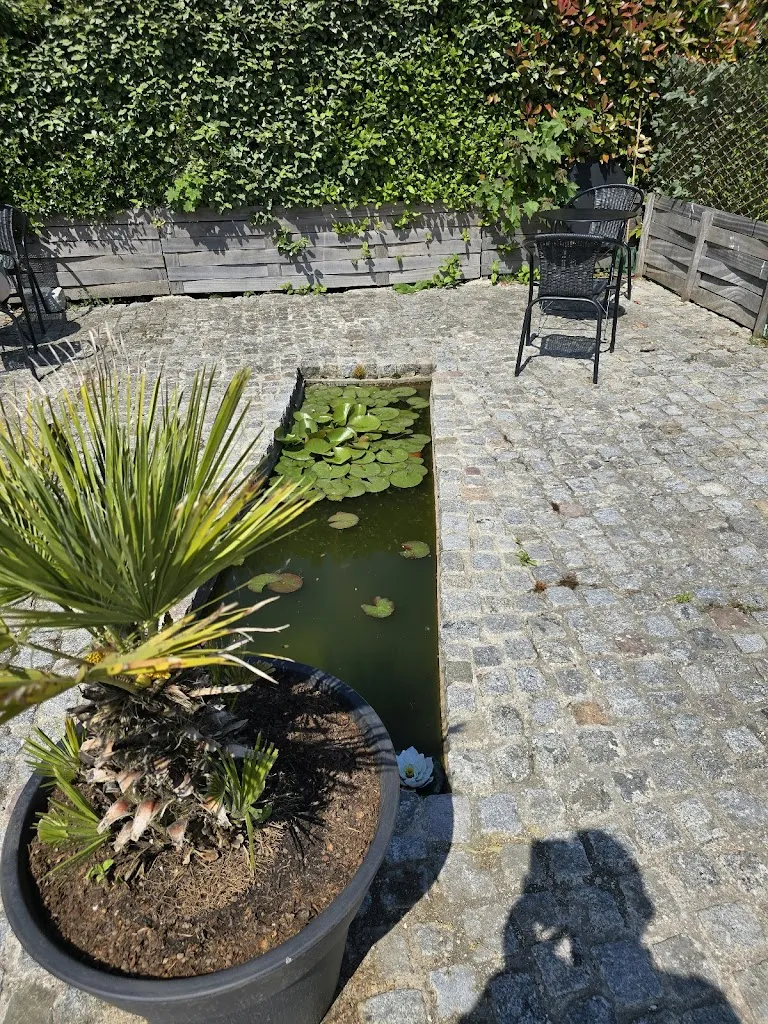 Laurent Scazzi_Dame Couscous_Senlis_review