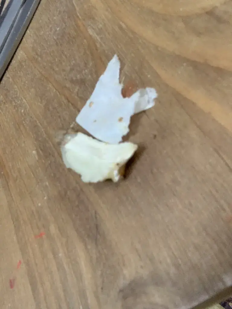 Ethan Covet_MA PIZZA_Verberie_review