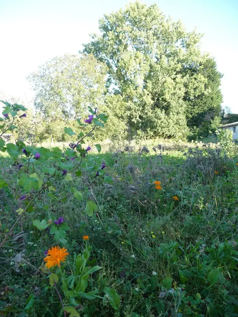 Les Jardins des Mouchons restaurant in Vimy