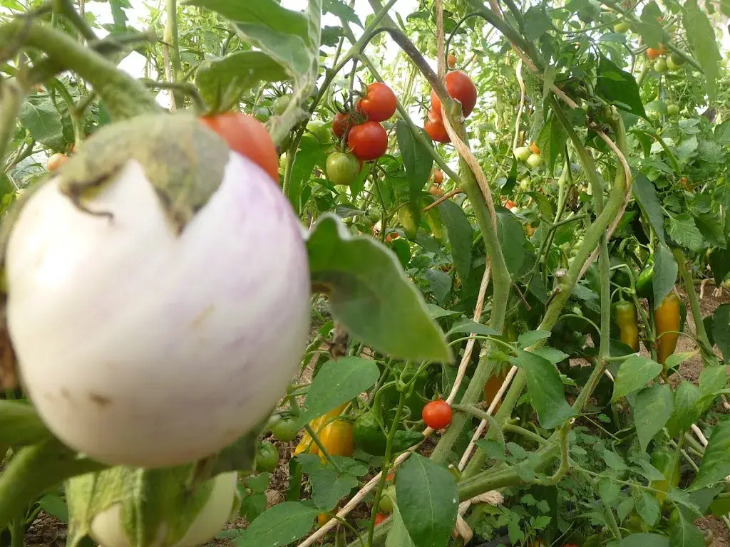 Les Jardins des Mouchons_Vimy_slider_image_2