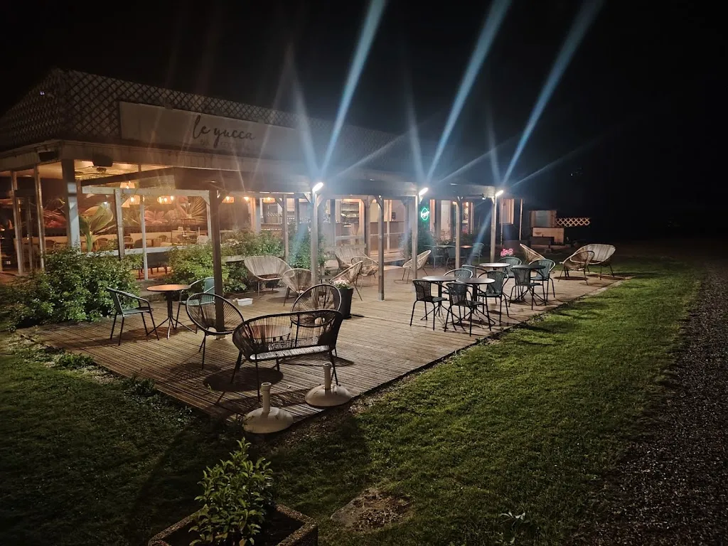 Hervé Clément _Le yucca_Vineuil-Saint-Firmin_review