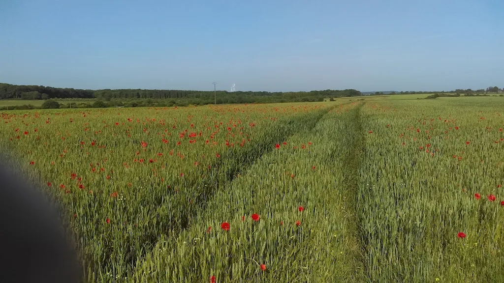 Mercier Laurent restaurante en Wassigny