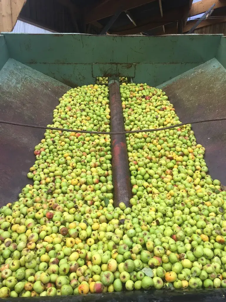 Menu_Brasserie artisanale Bioterre_Villers-Bocage_image_3