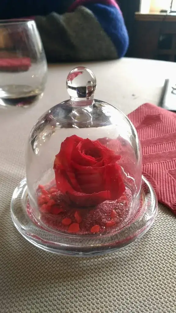 Jane DOE_Petit Corne Biche_Arbonne-la-Forêt_review