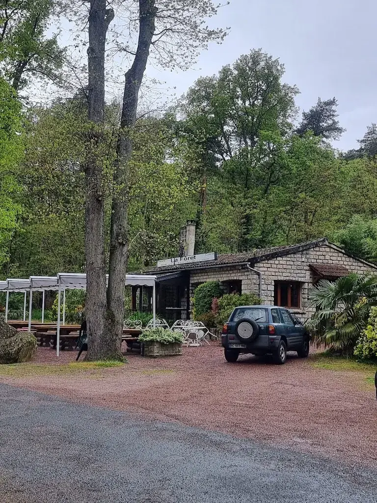 Lin Lin_LA FORET_Arbonne-la-Forêt_review