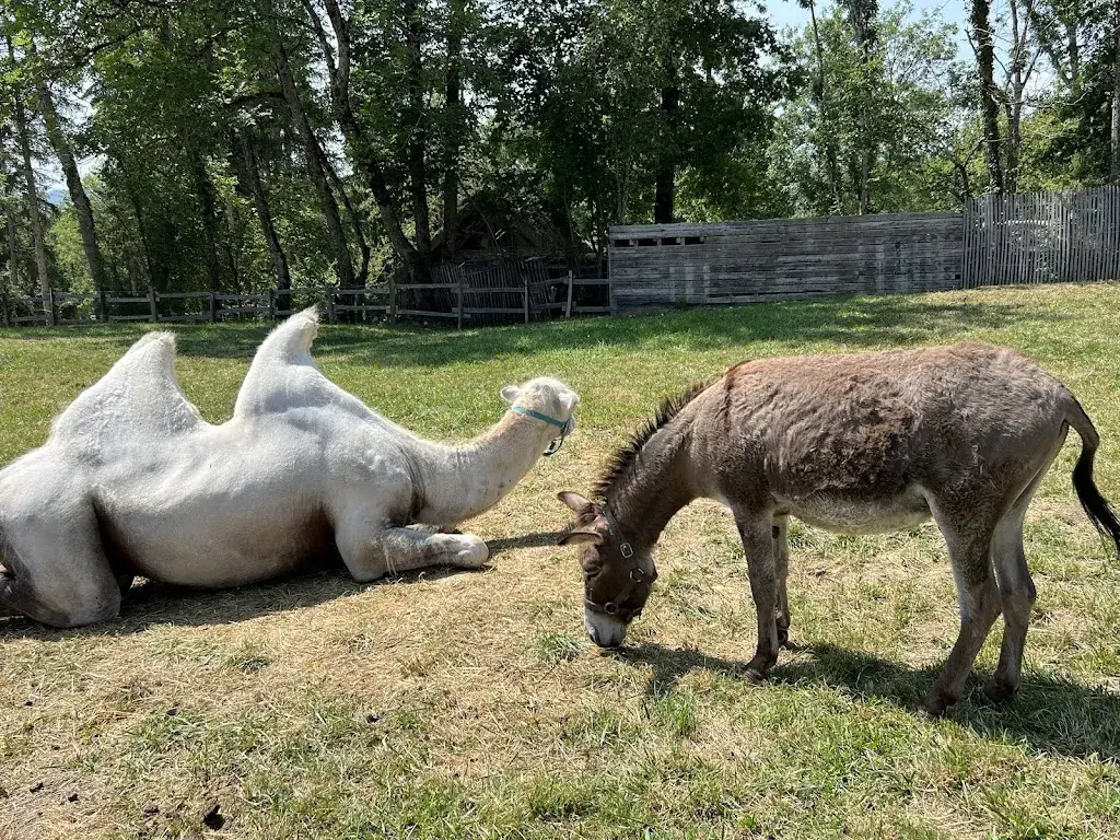 Serafeim Loukas_Le Grand Parc d'Andilly_Andilly_review