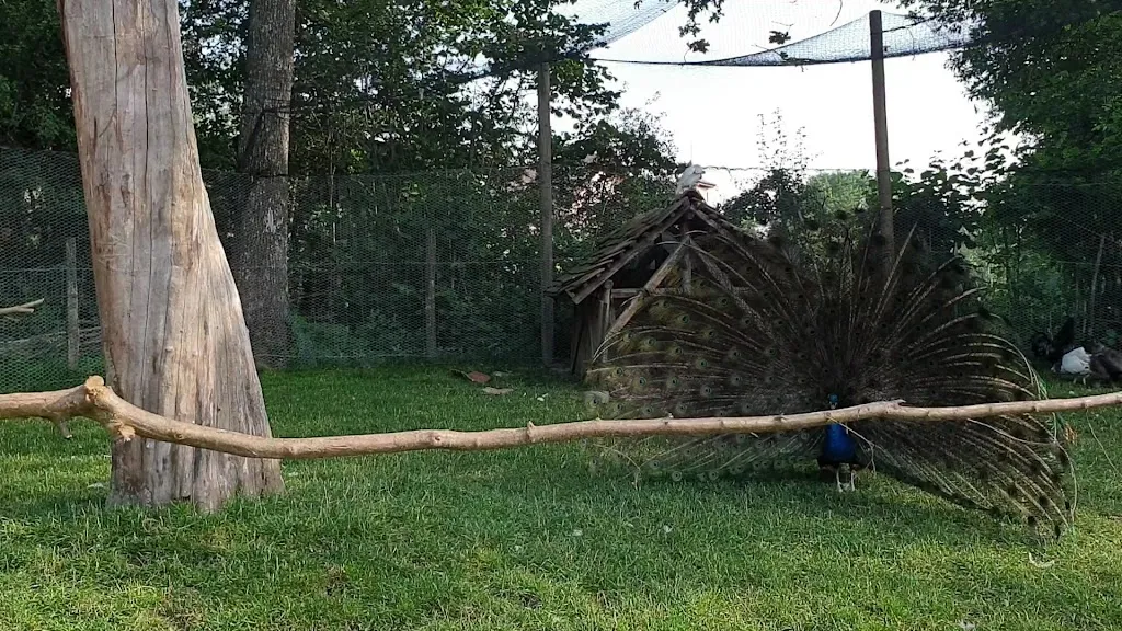 Service administratif - Le Petit Pays_Andilly_slider_image_2