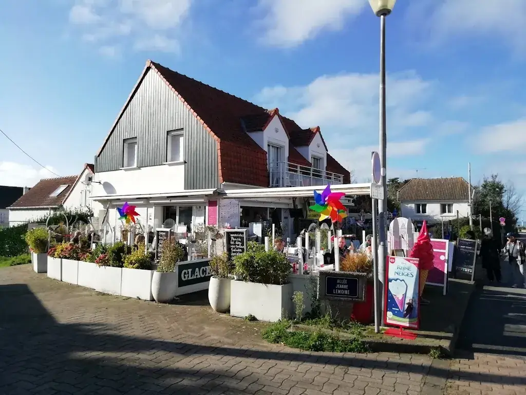 Elizabeth Jackson_Le Bois Flotté - Wissant_Wissant_reseña