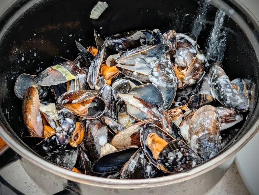 Menu_Les Sirènes - Moules Frites sur Mer_Wissant_image_9