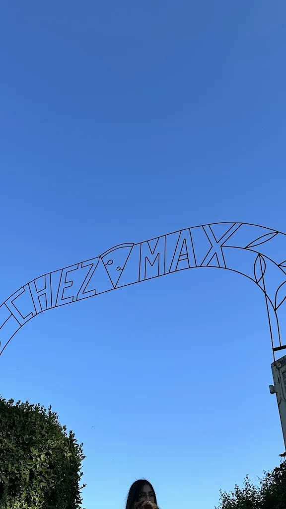 Arzu Avci_Chez Max_Wissant_review