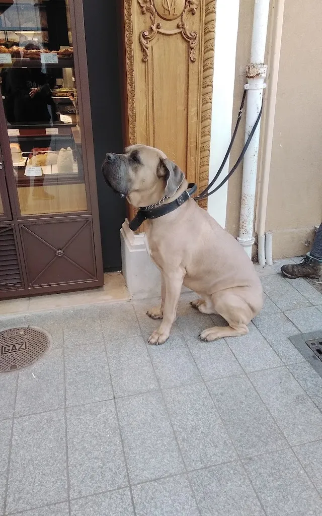 Gabriel Leskow_L'Arverne_Ablon-sur-Seine_review