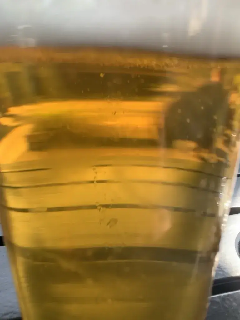 Menu_L' Avant Seine_Andrésy_image_6