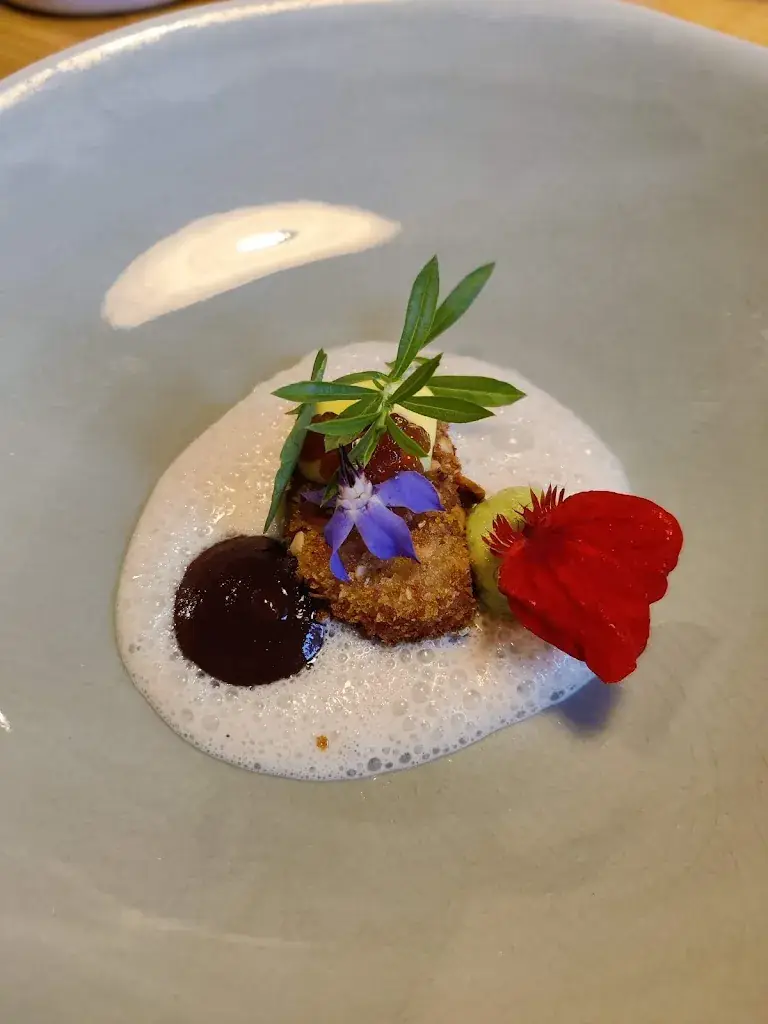 yasmin santy_L'Âne Têtu_Désaignes_review