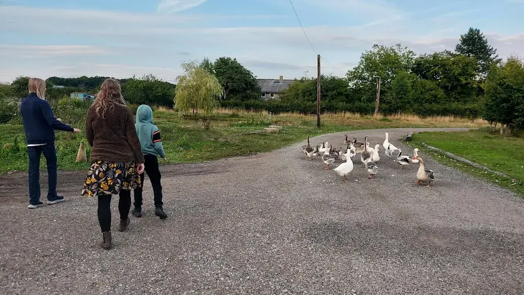 Jeroen Komen_Ferme des 4 étoiles_Auffargis_Bewertung