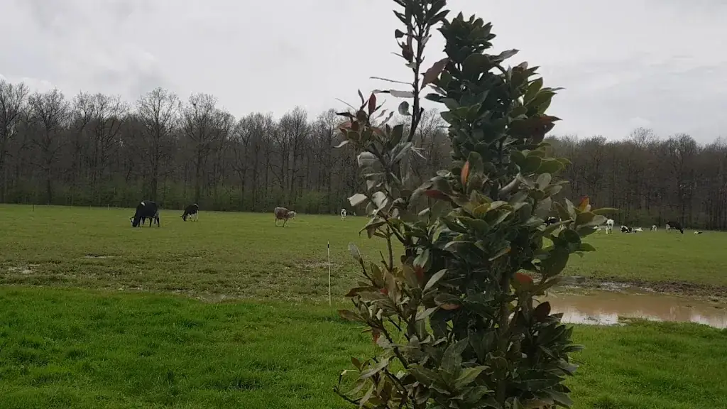 Ferme des 4 étoiles_Auffargis_slider_image_2