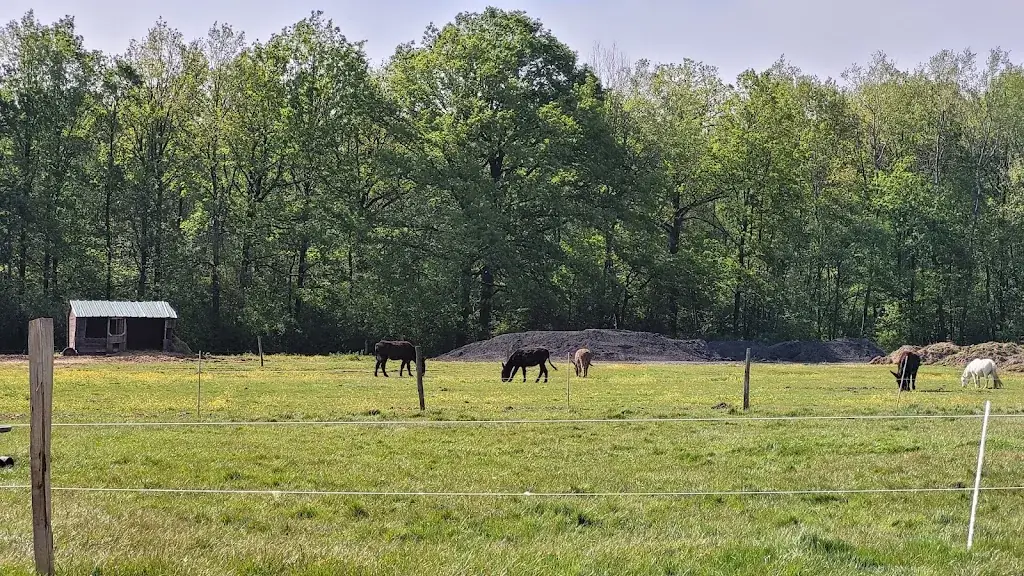 Ferme des 4 étoiles_Auffargis_slider_image_3