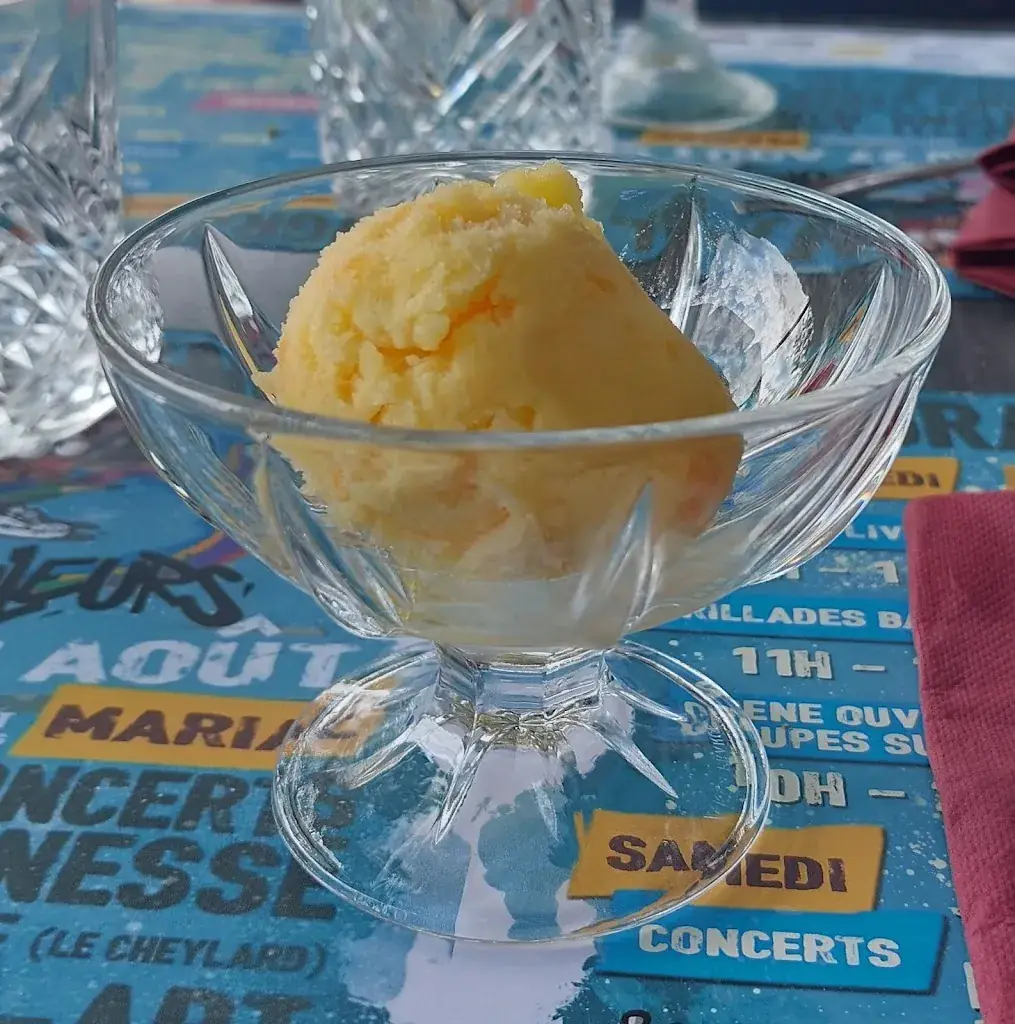 Patricia Collard_La cantine des anges_Cheylard_review