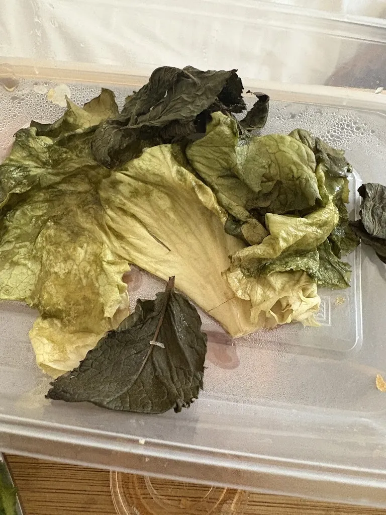 Lili Diams_AsianTimeArpajon_Arpajon_reseña