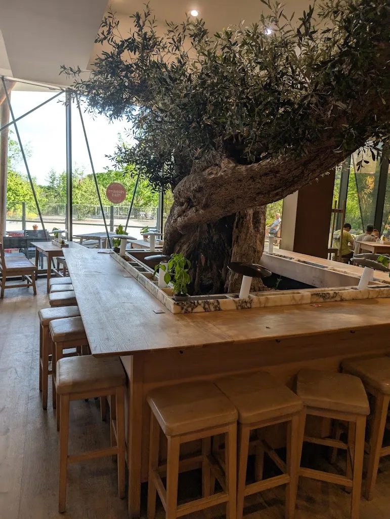 Danny Taylor_Vapiano Villages Nature Pasta Pizza Bar_Bailly-Romainvilliers_review
